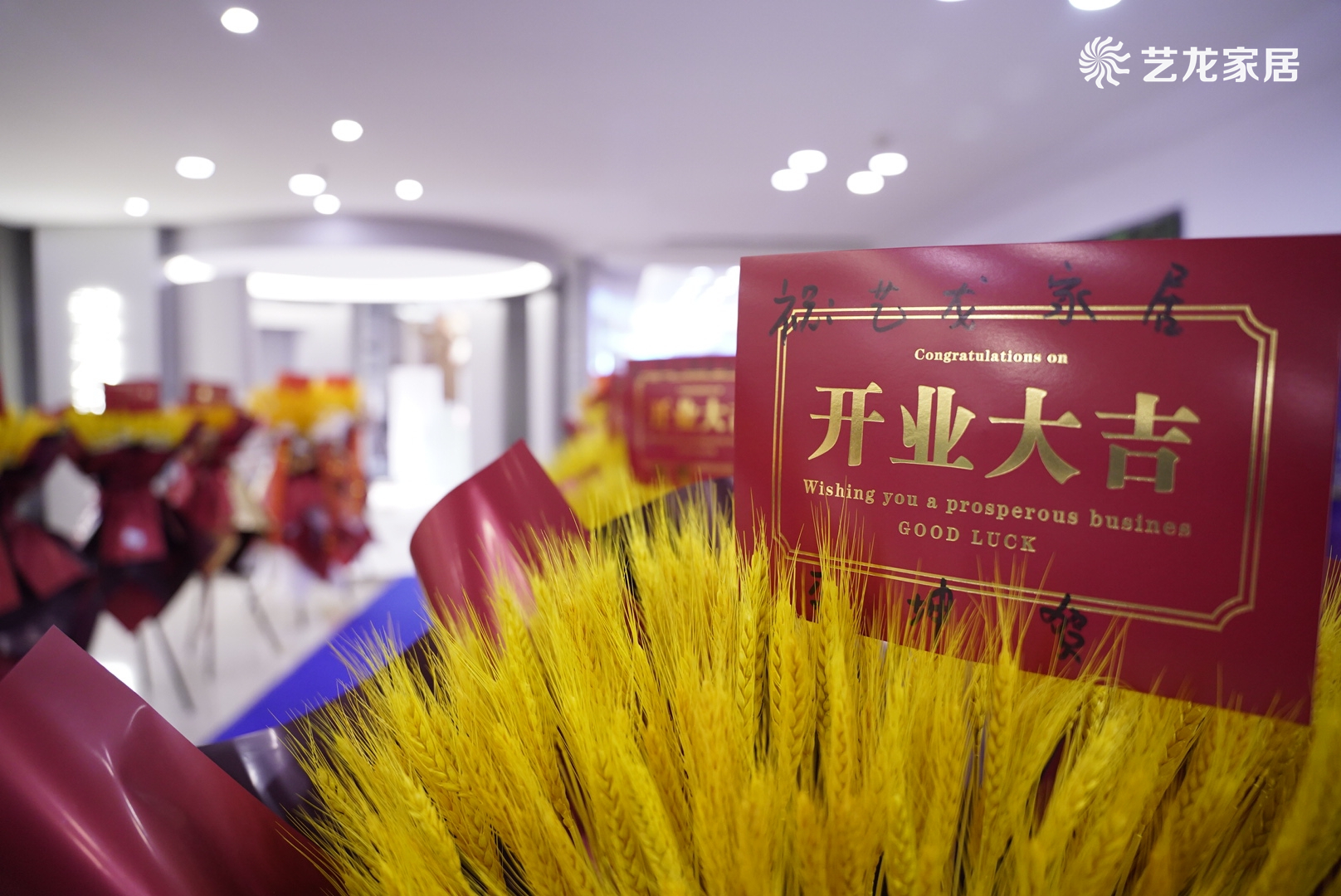 59博论坛网家居【徐州店】盛大开业 打造轻高定立面一体化效劳-59博论坛网
